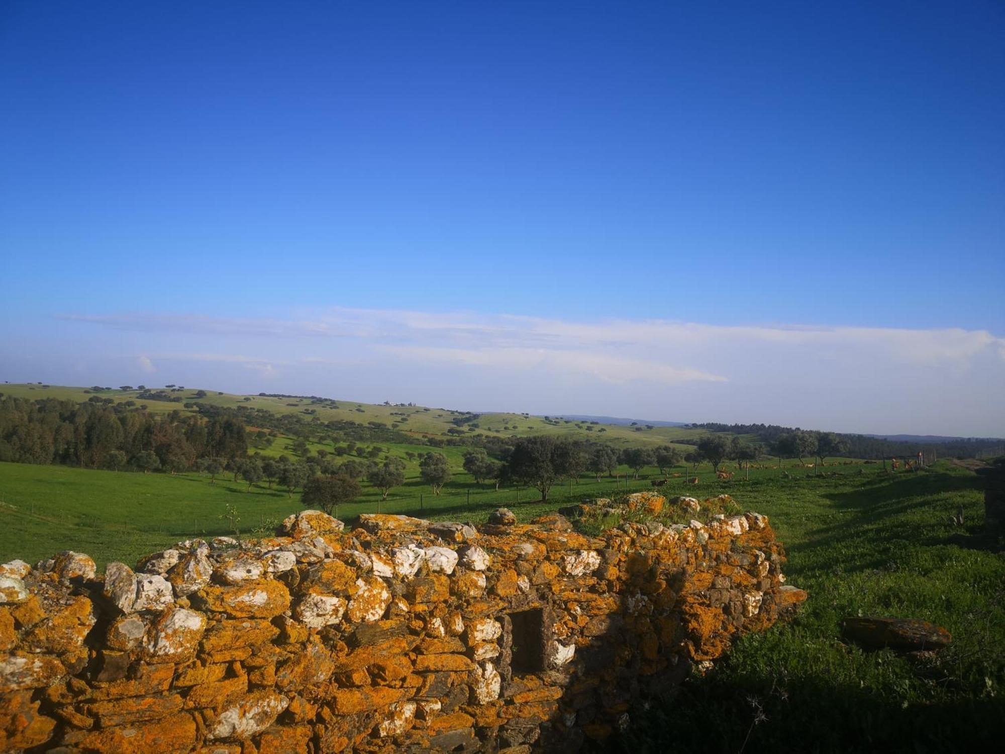 Refugio D' Aldeia Leilighet Reguengos de Monsaraz Rom bilde